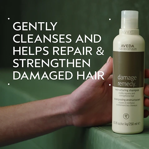 Image 2 - A hand holds a beige Aveda Damage Remedy restructuring shampoo bottle against a dark green background, with the white text overlay Gently cleanses and helps repair & strengthen damaged hair. The bottle reads AVEDA THE ART AND SCIENCE OF PURE FLOWER AND PLANT ESSENCES damage remedy. restructuring shampoo visibly repairs and strengthens hair shampooing restructurant répare et renforce visiblement les cheveux 8.5 fl oz/oz liq/250 ml e. Image 3 - A close-up of a quinoa plant with reddish stems and brownish seed heads on a white background, framed by a dark green background with the text QUINOA PROTEIN at the top and HELP REPAIR AND STRENGTHEN HAIR at the bottom. Image 4 - A before and after image shows a woman with long, wavy red hair, her hair appearing less defined in the before image and more voluminous and curly in the after image, with the visible text BEFORE, AFTER, Unwashed Hair, and Results with Damage Remedy™ Restructuring Shampoo and Conditioner, Daily Hair Repair, Volumizing Tonic and Light Elements™ Defining Whip. Blow dried with diffuser attachment. Image 5 - Three translucent golden-yellow drops of liquid are displayed against a white background with a dark green border. Image 6 - The image displays a four-step hair care guide titled HOW TO USE, set against a dark green background with white text and circular photos: 01 CLEANSE, showing a person washing lathered hair, with text Damage Remedy™ Restructuring Shampoo; 02 CONDITION, showing conditioner dispensed into a hand, with text Damage Remedy™ Conditioner; 03 TREAT, showing an AVEDA Damage Remedy Daily Hair Repair tube, with text Damage Remedy™ Daily Hair Repair; 04 STYLE, showing an AVEDA Volumizing Tonic spray bottle, with text Volumizing Tonic and Light Elements™ Defining Whip. Image 7 - Three white certification logos are displayed against a dark green leafy background with a red plant on the left, featuring the text 100% VEGAN, Certified B Corporation, and Cruelty Free INTERNATIONAL.