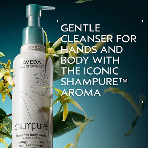 Image 2 - A white pump bottle with a teal dispenser stands amidst green leaves and yellow flowers against a blue-green background, with visible text on the bottle that reads AVEDA, THE ART AND SCIENCE OF PURE FLOWER AND PLANT ESSENCES, shampure™, hand and body wash calming aroma, nettoyant pour les mains et le corps crème calmant, and promotional text on the right side of the image that reads GENTLE CLEANSER FOR HANDS AND BODY WITH THE ICONIC SHAMPURE™ AROMA. Image 3 - The image features a circular display of lavender, white star-shaped flowers, and yellow-green ylang ylang flowers with green leaves on a light blue-green background, against a dark green background, with the text POWER YOUR PEACE and A CALMING AROMA WITH A BLEND OF 25 PURE FLOWER AND PLANT ESSENCES INCLUDING LAVENDER, PETITGRAIN, AND YLANG YLANG. Image 4 - A white, creamy product swatch with visible foam and textured streaks on a light grey background. Image 5 - An image displays two white Aveda Shampure product bottles, one with a pump and one with a cap, on a dark green background, alongside usage instructions: HOW TO USE, 01 CLEANSE Shampure Hand and Body Wash, 02 MOISTURIZE Shampure Body Lotion, with the bottles labeled AVEDA THE ART AND SCIENCE OF PURE FLOWER AND PLANT ESSENCES shampure hand and body wash calming aroma nettoyant pour les mains et le corps arôme calmant, and AVEDA THE ART AND SCIENCE OF PURE FLOWER AND PLANT ESSENCES shampure body lotion calming aroma lotion pour le corps arôme calmant. Image 6 - The image shows a dark green leafy background with three white certification logos: a circular 100% VEGAN logo with a V, a Certified B Corporation logo with a B in a circle, and a Cruelty Free INTERNATIONAL logo with a leaping bunny.