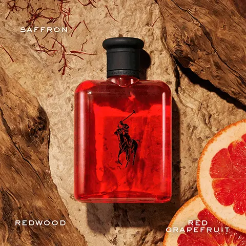 Image 1, SAFFRON RALPH LAURE REDWOOD RED GRAPEFRUIT Image 2, RALPH LAUREN LANDO NORRIS FORMULA 1 DRIVER THE POLO RED FRAGRANCE Image 3, EAU DE TOILETTE SENSUAL ENERGY POLO RALPH LAUREN EAU DE PARFUM SEDUCTIVE SOPHISTICATED PARFUM POWERFUL MYSTERIOUS RED GRAPEFRUIT SAFFRON REDWOOD INTENSITY: DOD RED GINGER CLARY SAGE NATURAL WOODS INTENSITY: ABSINTHE ORRIS CEDARWOOD INTENSITY