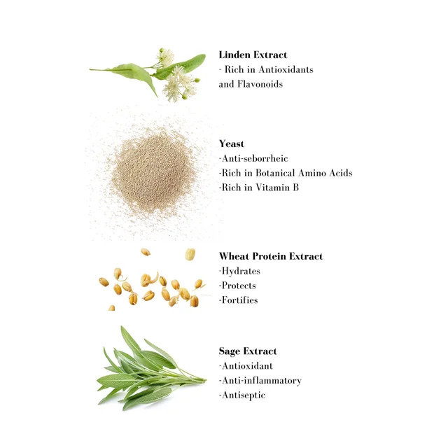 Image 1- Linden Extract - Rich in Antioxidants and Flavonoids Yeast -Anti-seborrheic -Rich in Botanical Amino Acids -Rich in Vitamin B Wheat Protein Extract -Hydrates -Protects -Fortifies Sage Extract -Antioxidant -Anti-inflammatory -Antiseptic