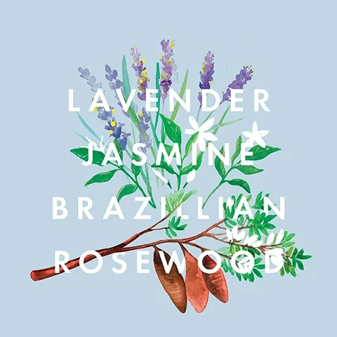 An arrangement of lavender, jasmine, and Brazilian rosewood leaves and flowers is shown against a light blue background, with the words Lavender, Jasmine, Brazilian, and Rosewood overlaying the image.