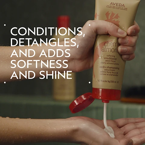 Image 2 - A hand squeezes a beige Aveda Cherry Almond conditioner bottle with a red cap, dispensing white conditioner into the palm of another hand, with visible text on the bottle and to the left that reads AVEDA THE ART AND SCIENCE OF PURE FLOWER AND PLANT ESSENCES cherry almond softening conditioner sweet floral cherry almond aroma après-shampooing adoucissant arôme floral doux de cerisier et damandier 6.7 fl oz/oz liq/200 ml e CONDITIONS, DETANGLES, AND ADDS SOFTNESS AND SHINE. Image 3 - A before and after comparison image shows a woman with long red hair, on the left her hair is wavy and appears unwashed, and on the right her hair is smooth, straight, and shiny, with the visible text BEFORE, AFTER, Unwashed Hair, and Results with Cherry Almond Softening Shampoo and Conditioner, Speed of Light Blow Dry Accelerator, Thickening Tonic, Botanical Repair™ Bond-Building Styling Crème, and Air Control Light Hold Hair Spray. Blow dried with Wooden Paddle Brush. Image 4 - The image features three oranges on a branch with green leaves and white blossoms, next to several dark brown dates, all on a light beige background framed by a dark green border, with the text Uplift Your Mood and A Sweet Floral Aroma With Tonka Bean, Orange, And Ylang-Ylang. Image 5 - The image displays three circular photos on a dark green background, illustrating hair care steps: first, hands massaging shampoo into wet hair; second, hands squeezing conditioner from a tube into a palm; and third, a person spraying a product onto their hair while looking in a mirror, with accompanying text that reads HOW TO USE, 01 CLEANSE Cherry Almond Softening Shampoo, 02 CONDITION Cherry Almond Softening Conditioner & Leave-In Conditioner, 03 STYLE Invati Ultra Advanced™ Thickening Foam & Texture Tonic. Image 6 - Three textured swatches of thick white cream are spread on a light gray background with a dark green border. Image 7 - A split image shows a woman with blonde hair, labeled BEFORE on the left with Unwashed Hair, her hair appearing straight and flat, and labeled AFTER on the right, her hair appearing wavy and voluminous, which is the result of Cherry Almond Softening Shampoo, Conditioner, and Leave-In Conditioner, Invati Ultra Advanced™ Thickening Foam, Texture Tonic and Woodle Paddle Brush, blow dried with diffuser attachment and styled with curling iron. Image 8 - A dark green leafy background features three white certification logos: a circular 100% Vegan logo with a V, a Certified B Corporation logo with a B in a circle, and a Cruelty Free International logo with a leaping bunny and stars.