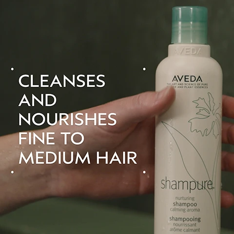Image 2 - A hand holds a white Aveda Shampure shampoo bottle with a teal cap and a green flower design, covered in water droplets, featuring overlaid white text that reads CLEANSES AND NOURISHES FINE TO MEDIUM HAIR, and bottle text that says Aveda The Art and Science of Pure Flower and Plant Essences shampure nurturing shampoo calming aroma shampooing nourrissant arôme calmant. Image 3 - A split image shows a woman with short reddish-brown hair: on the left, her hair is flatter and less styled; on the right, it is wavy and more voluminous. Text reads BEFORE, AFTER, Unwashed Hair, Results with Shampure Nurturing Shampoo and Conditioner, Smooth Infusion Style-Prep Smoother, Control Paste and Control Force. Blow dried hair. Image 4 - The image displays a cluster of lavender, white blossoms, green leaves, and yellow ylang-ylang flowers on a light teal circular background, all set against a dark green backdrop, with the text Power Your Peace and A calming aroma with a blend of 25 pure flower and plant essences including Lavender, Petitgrain, and Ylang Ylang. Image 5 - The image shows a four-step hair care routine on a dark green background titled HOW TO USE: 01 CLEANSE features a person washing their hair with Shampure™ Nurturing Shampoo; 02 CONDITION shows conditioner being dispensed into a hand, with the text Shampure™ Nurturing Conditioner; 03 PREP displays a hand holding a grey AVEDA Smooth Infusion Style-Prep™ Smoother bottle, with the text Smooth Infusion Style-Prep™ Smoother; and 04 STYLE shows a hand holding a dark grey hairspray can for Control Paste and Control Force. Image 6 - A white, foamy product smear with a distinct blob of foam above it is shown on a light gray background. Image 7 - A dark green leafy background with a red plant displays three white certification logos: the 100% Vegan logo with a large V, the Certified B Corporation logo with a B in a circle, and the Cruelty Free International logo featuring a jumping bunny.