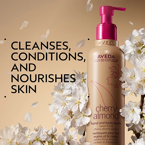 Image 2 - A light brown Aveda cherry almond hand and body wash bottle with a hot pink pump is centered on a beige background, adorned with white cherry blossoms and falling petals; on the left, text reads Cleanses, Conditions, and Nourishes Skin, and the bottle label includes Aveda The Art and Science of Pure Flower and Plant Essences cherry almond hand and body wash sweet floral cherry almond aroma nettoyant pour les mains et le corps arôme floral doux de cerisier et damandier. Image 3 - A creamy-beige circular area featuring oranges on green leafy branches with white blossoms and several dark brown dates, set against a dark green background, with the text Uplift Your Mood and A sweet floral aroma with tonka bean, orange, and ylang-ylang. Image 4 - Three Aveda Cherry Almond products, a body scrub tube, a hand and body wash pump bottle, and a body lotion bottle, are displayed with white flowers next to a guide that reads HOW TO USE 01 EXFOLIATE cherry almond body scrub 02 CLEANSE cherry almond hand and body wash 03 MOISTURIZE cherry almond body lotion. Image 5 - Three circular, pale pink smears of a product, varying in size, are displayed on a white background with a dark green border. Image 6 - Three white certification logos are displayed against a dark background of lush green leaves and a red plant stem, reading 100% VEGAN with a large V, Certified B Corporation, and Cruelty Free INTERNATIONAL.