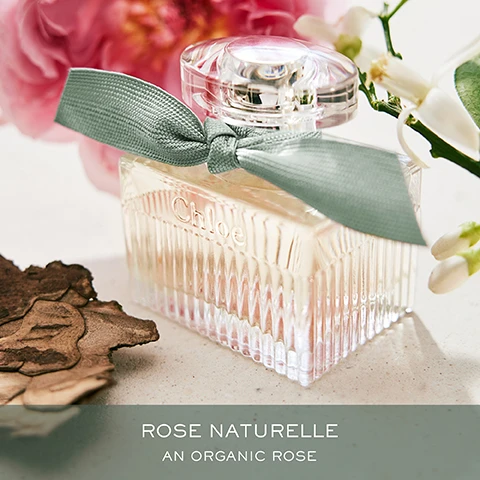 Image 1 - A glass perfume bottle with a pink ribbon and a floral arrangement in the background, featuring the text Rose Naturelle and An Organic Rose.
Image 2 - Image shows four bottles of Chloé fragrances displayed against a backdrop of flowers, with the text DISCOVER THE SIGNATURE FRAGRANCES at the top, and the names and descriptions of each fragrance: Eau de Parfum, Eau de Parfum Lumineuse, Rose Naturelle, and Rose Naturelle Intense beneath each bottle.