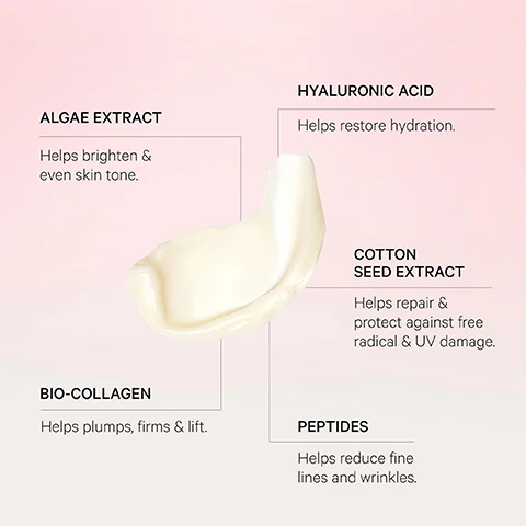 Image 1 - A dollop of light cream is displayed against a pink background, with surrounding text indicating its ingredients and benefits: Algae Extract helps brighten & even skin tone, Hyaluronic Acid helps restore hydration, Cotton Seed Extract helps repair & protect against free radical & UV damage, Bio-Collagen helps plumps, firms & lift, and Peptides help reduce fine lines and wrinkles. Image 2 - A side-by-side comparison shows a persons cheek with visibly larger pores and some redness on the left, labeled BEFORE, and the same area on the right with noticeably smoother skin and reduced pore visibility, labeled AFTER, below which is the text 26% Improvement in skin moisturisation* and *Indepdendent clinical study over 6 weeks. Image 3 - A light pink jar with a gold lid, labeled MZ SKIN The Light Moisturiser, is displayed on a pink background with cream swatches, next to text that reads Clinically Proven... Skin feels firmer, Skin feels hydrated & nourished, Restores the appearance of a youthful complexion, and the jar also includes the text MZ SKIN by Dr. Maryam Zamani The Light Moisturiser Daily Anti-Ageing Peptide Enriched Cream - Light Crème Quotidienne Anti-Âge Enrichie Peptides - Soin Léger.