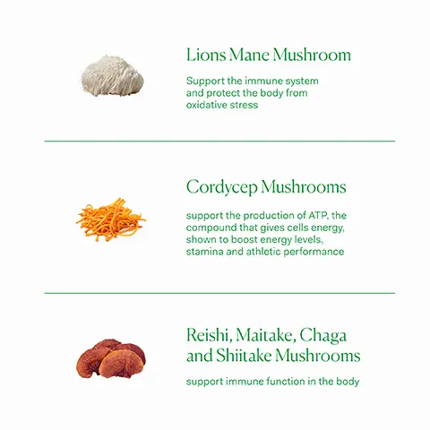 Image 1, Lions Mane Mushroom Support the immune system and protect the body from oxidative stress Cordycep Mushrooms support the production of ATP, the compound that gives cells energy, shown to boost energy levels, stamina and athletic performance Reishi, Maitake, Chaga and Shiitake Mushrooms support immune function in the body Image 2, Old Packaging New Packaging THE NUE CO MUSHROOM Mu THE NUE CO MUSHROOM Mu As our new packaging phases in sustainably, you may receive either our old or new jar and box. Inside the jar it's the same formula you know and love.