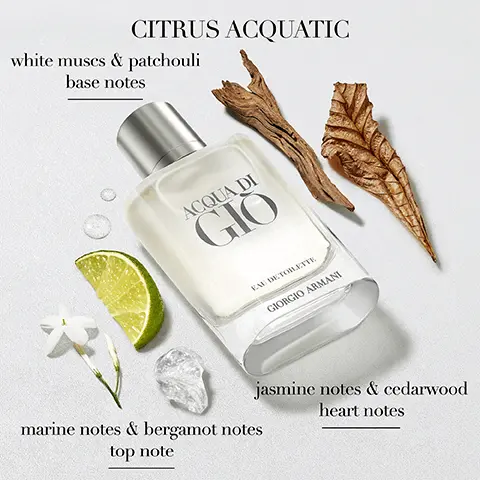 Citrus Acquatic. White muscs & patchouli base notes. Marine notes & bergamot notes top note. Jasmine notes & cedarwood heart notes. Acqua di Gio Girogio Armani. Woody Aquatic, Acqua Di Gio Parfum, Bergamot & ginger, Clary sage heart & rosemary, Patchouli & incense. Citrus Aquatic, Acqua Di Gio Edt, Marine notes & bergamot notes, Jasmine notes & cedarwood, White muscs & patchouli. Aromatic Aquatic, Acqua Di Gio Edp, Marine notes & green mandarin, Sage heart, Patchouli & vertive. Fougere Aromatic, Acqua Di Profondo Edp, Marine notes & green mandarin, Lavandin & rosemary, Cedarwood & patchouli.