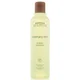 Aveda Rosemary Mint Shampoo (feines Haar)
