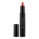 Illamasqua Hypnotica Sketch Stick 2.4g - Fly