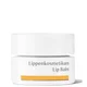 Dr. Hauschka Lip Balm 4,5ml
