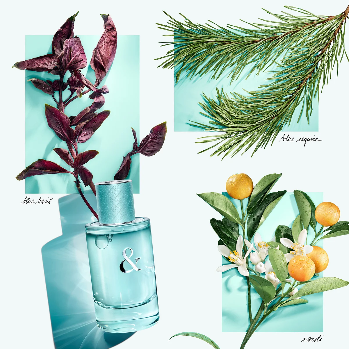 Tiffany Love for Her Eau de Parfum 90 ml LOOKFANTASTIC