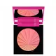 Diego Dalla Palma Turn on The Blush Compact Powder - Pink Rainbow 7,1 g
