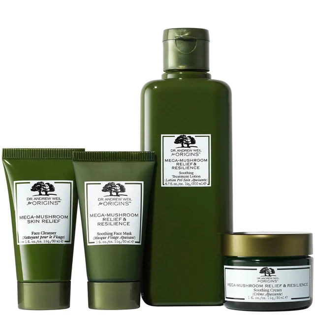 Origins Skin Fortifying Delights Set