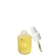 Pai Skincare The Light Fantastic Cacao and Schisandra Ceramide Gesichtsöl 10 ml