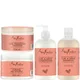 SheaMoisture Curl and Shine Bundle