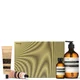 Aesop Majestic Melodies Aufwendiges Body-Kit