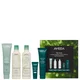 Aveda The Icons Set