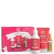 Wella Professionals Care Color Brilliance Reiseset